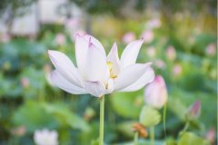 岳麓區網站設計公司該如何選擇？